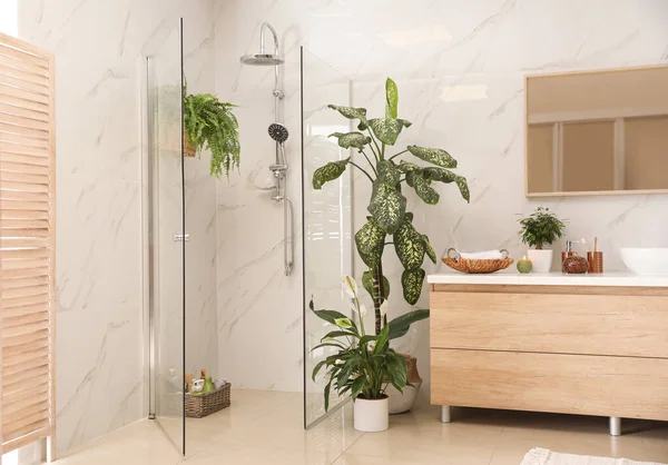 Интерьер современной ванной комнаты с зелеными растениями — стоковое фото