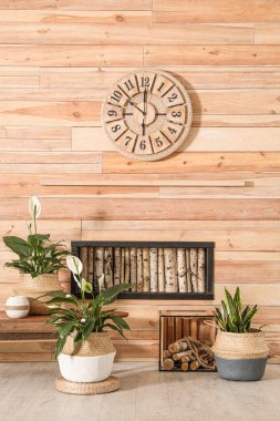 Tencere içinde güzel bitkiler olan şık bir iç tasarım.