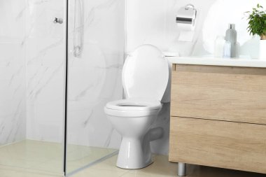 Modern banyo içinde şık bir klozet.