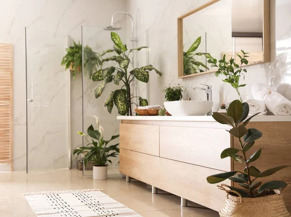 Plante verzi frumoase în baie modernă elegantă. Interior desi — Fotografie, imagine de stoc