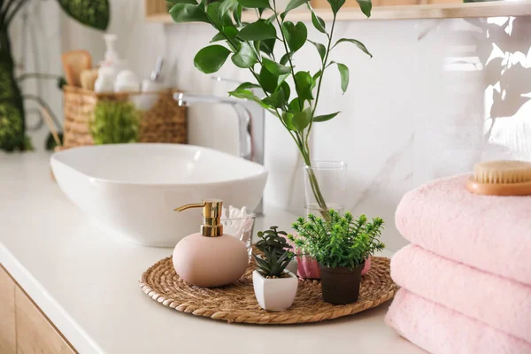 Green Plants Toiletries White Countop Bathroom Дизайн Интерьера — стоковое фото