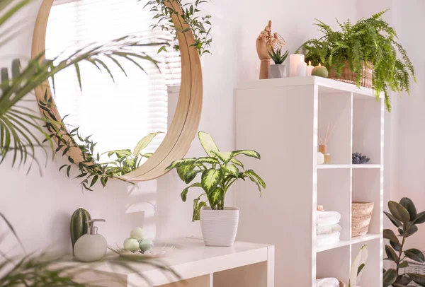 De belles plantes vertes dans une élégante salle de bain moderne. Intérieur desi — Photo