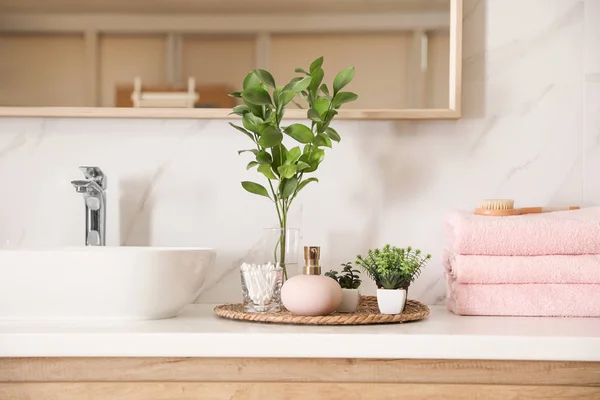 Piante verdi e articoli da toeletta su piano di lavoro bianco in bagno. Int — Foto Stock