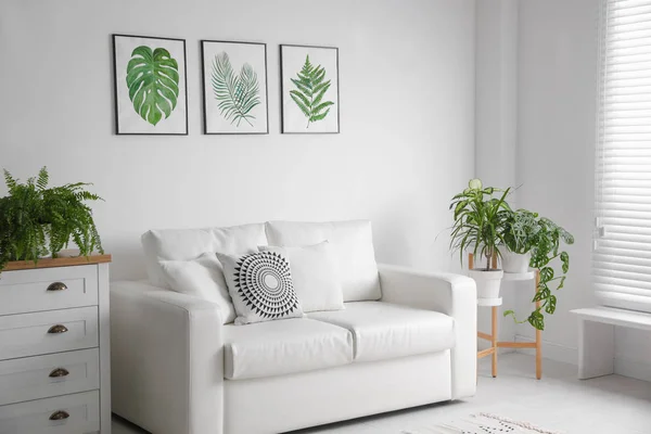 Красиві картини тропічних листя над диваном у вітальні — стокове фото