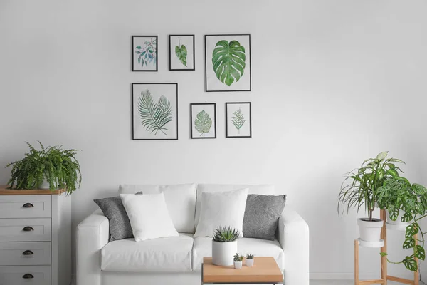 Schöne Bilder tropischer Blätter über Sofa im Wohnzimmer — Stockfoto