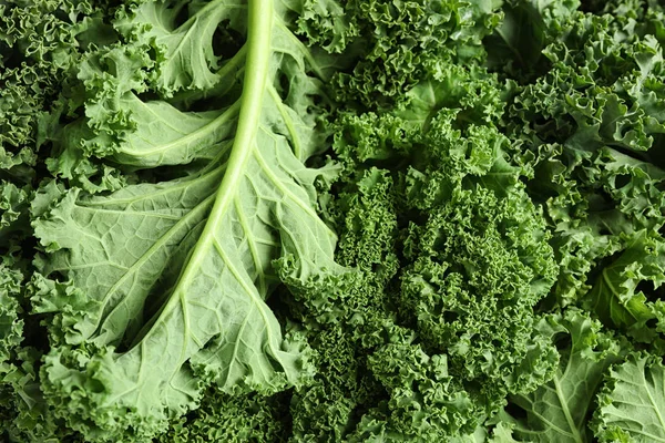 Fresh Green Kale Leaves Background Closeup — Stock Photo, Image