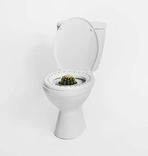 Toalete Com Pinos Cacto Sobre Fundo Branco Conceito Hemorróidas — Fotografia de Stock