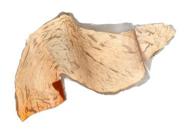 Lezzetli prosciutto dilimi beyaza izole edilmiş.