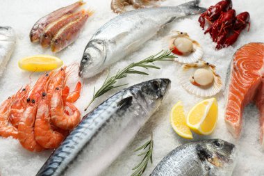 Taze balık ve buzda farklı deniz ürünleri.