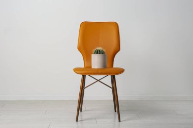 Beyaz duvarın yanında kaktüslü sandalye. Hemoroit konsepti