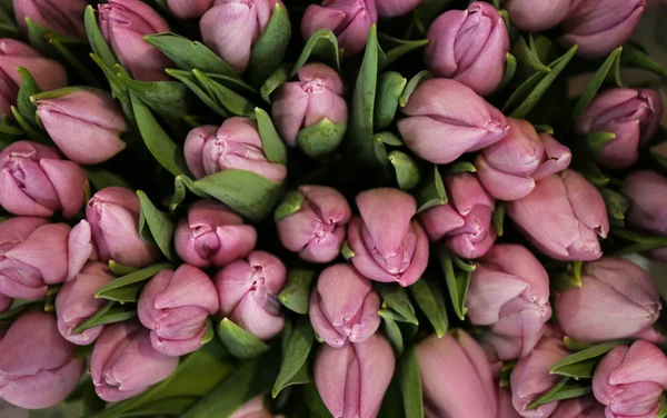 Beau Bouquet Fleurs Tulipes Vue Dessus — Photo
