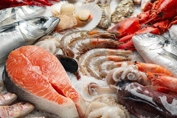 Свежая рыба и морепродукты на льду, крупный план
