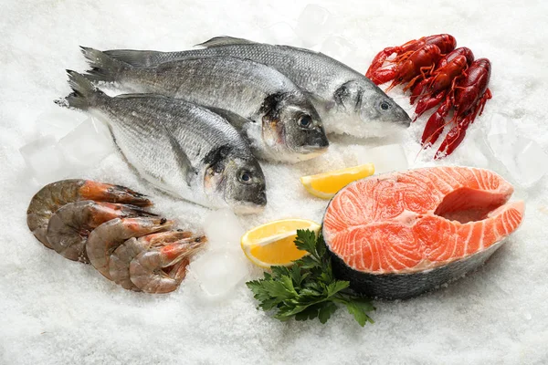 Poisson Frais Fruits Mer Différents Sur Glace — Photo