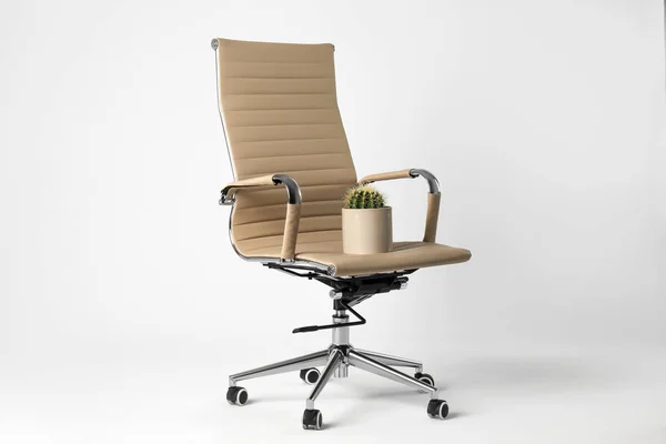 Office Chair Cactus Isolated White Hemorrhoids Concept — Stock Photo, Image