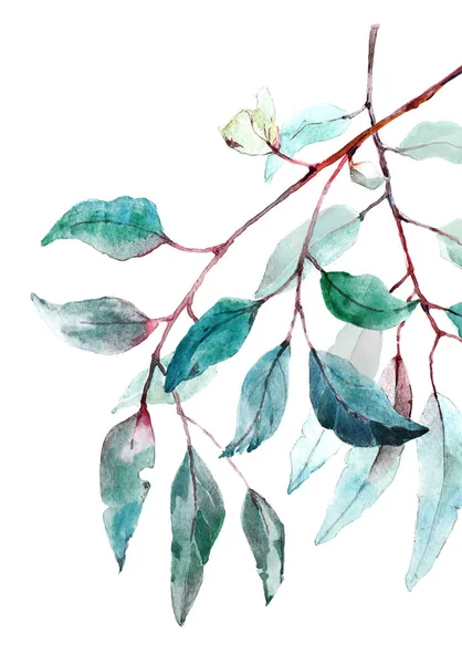 Belles Feuilles Tropicales Aquarelle Peintes Sur Papier Blanc Vue Dessus — Photo