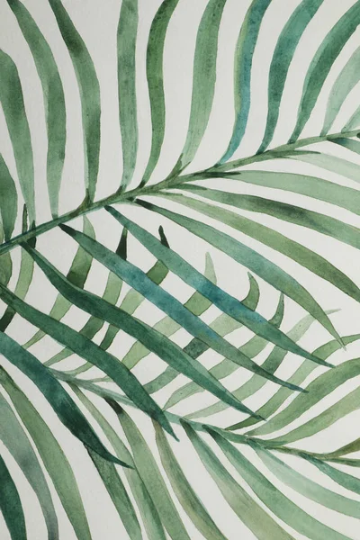 Beautiful watercolor tropical leaves painted on white paper, top view