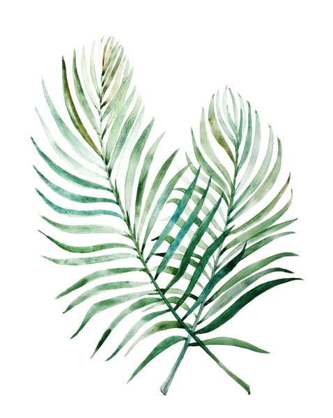 Beautiful Watercolor Tropical Leaves Painted White Paper Top View — 스톡 사진