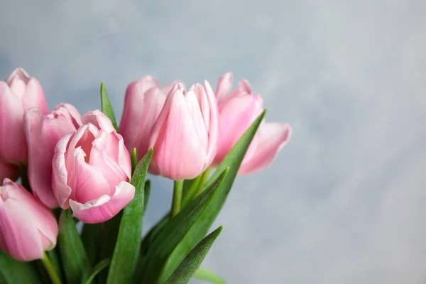 Lindas tulipas de primavera rosa no fundo azul claro, close-up . — Fotografia de Stock