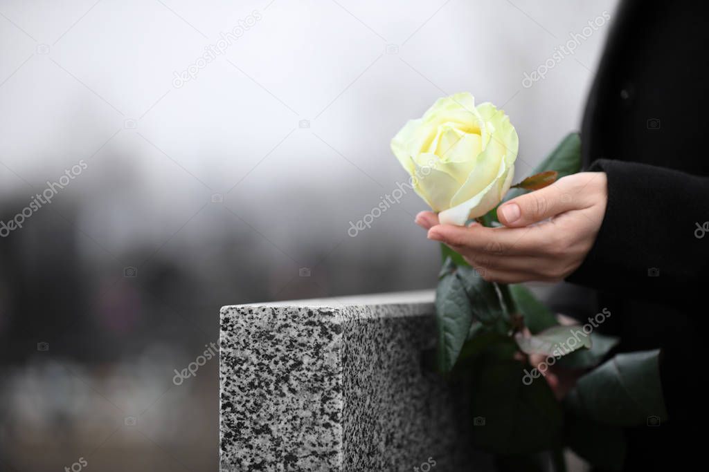 Woman holding white rose near grey granite tombstone outdoors, c