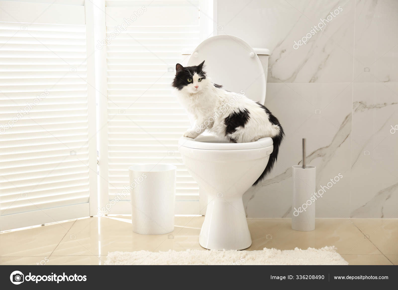 frenchie quilt cover