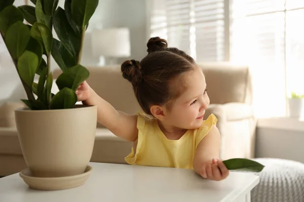 Маленькая Девочка Играет Комнатой Дома — стоковое фото