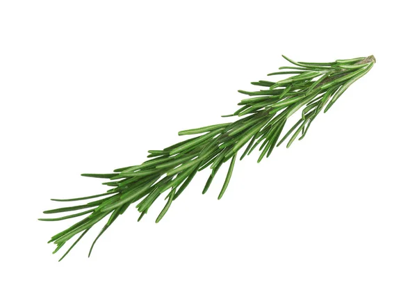 Fresh green rosemary isolated on white. Aromatic herb — Stock Photo, Image