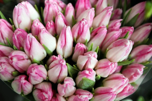 Belles Tulipes Roses Comme Fond Gros Plan Décor Floral — Photo