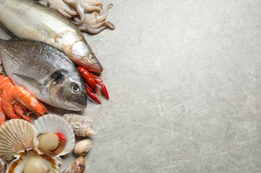 Taze balık ve farklı deniz ürünleri açık gri masada, düz yerde. Metin için boşluk