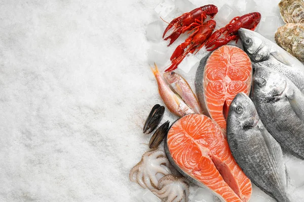 Čerstvé Ryby Mořské Plody Ledu Ploché Ležely Mezera Pro Text — Stock fotografie