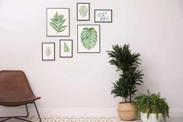 Belles peintures de feuilles tropicales sur mur blanc dans la vie r — Photo