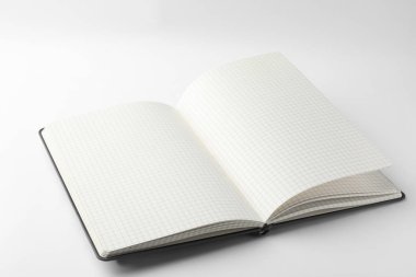 Boş sayfaları beyaz üzerine izole edilmiş açık bir defter