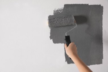 Beyaz duvarı gri boyayla boyayan kadın, yakın plan. Metin için boşluk