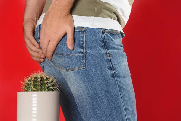 Man Sitting Cactus Red Background Closeup Hemorrhoid Concept — Stock Photo, Image