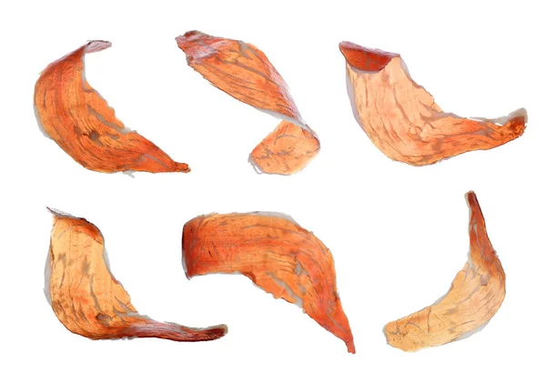 Slices of tasty prosciutto on white background — 스톡 사진