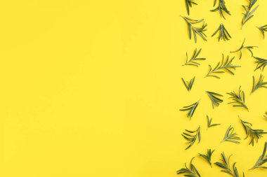 Düz kompozisyon ve sarı arka planda taze biberiye. Metin için boşluk