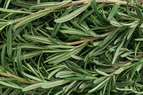 Frischer Bio Rosmarin Als Hintergrund Draufsicht — Stockfoto