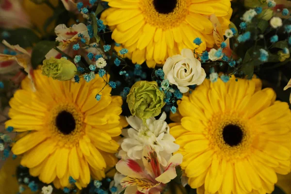 Arka Plan Olarak Güzel Çiçekler Yakın Plan Olarak Çiçek Dekoru — Stok fotoğraf