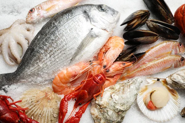 Świeże Ryby Owoce Morza Lodzie Płaskie Leżaki — Zdjęcie stockowe