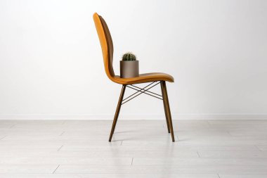 Beyaz duvarın yanında kaktüslü sandalye. Hemoroit konsepti