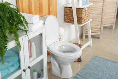 Modern banyo içinde şık bir klozet.