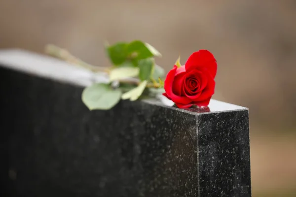 Rosa roja sobre lápida de granito negro al aire libre. Ceremonia funeraria — Foto de Stock