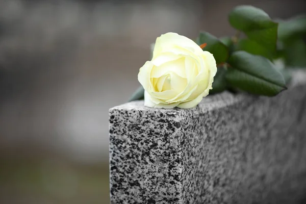 Biała róża na szarym granitowym nagrobku na zewnątrz. Ceremonia pogrzebu — Zdjęcie stockowe