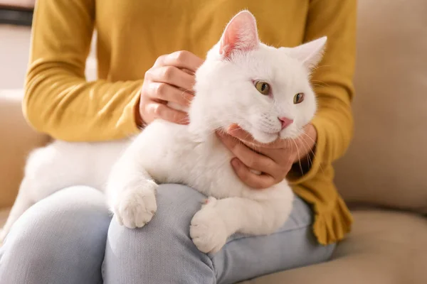 Jonge vrouw met haar mooie witte kat thuis, close-up. Poeder — Stockfoto