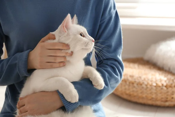 Fiatal Gyönyörű Fehér Macskájával Otthon Közelről Bolyhos Kisállat — Stock Fotó