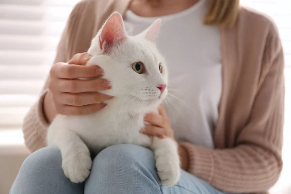 Jonge Vrouw Met Haar Mooie Witte Kat Thuis Close Pluizig — Stockfoto