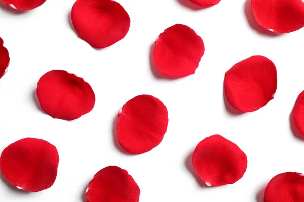 Färska röda rosenblad på vit bakgrund, ovanifrån — Stockfoto