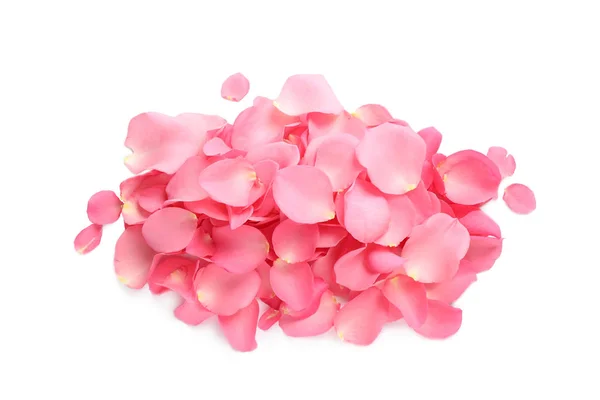 Купка свіжих рожевих пелюсток троянд на білому тлі, вид зверху — стокове фото
