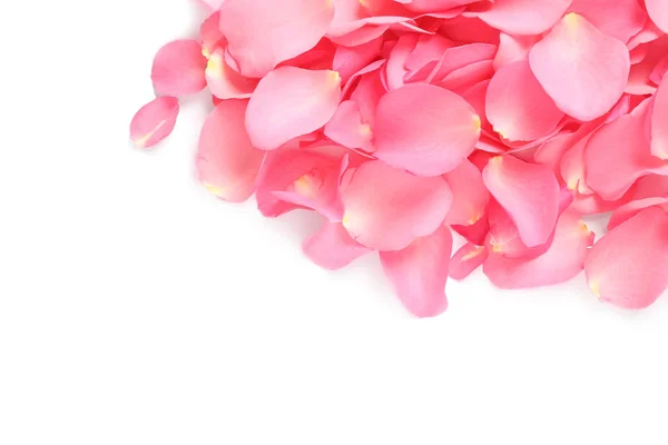 白い背景に新鮮なピンクのバラの花びらの山,トップビュー — ストック写真