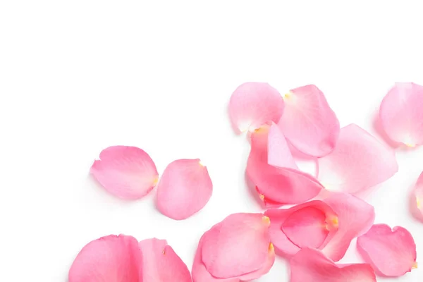 新鮮なピンクのバラの花びらが白い背景に、トップビュー — ストック写真