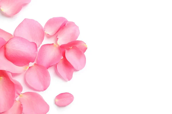 Verse roze rozenblaadjes op witte achtergrond, bovenaanzicht — Stockfoto